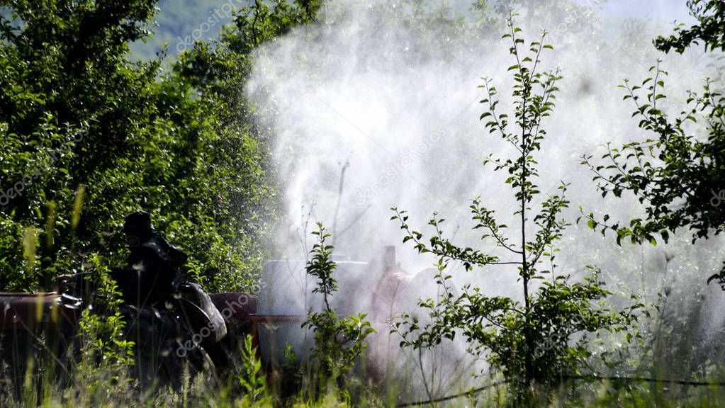 Tractor sprays insecticide in apple orchard fields