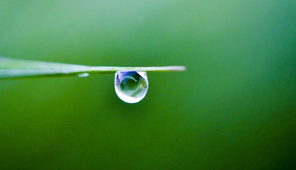 Gota de água na lâmina de grama — Fotografia de Stock