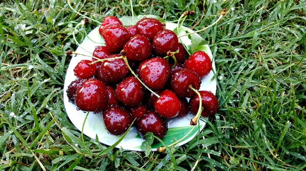 Röda mogna körsbär på ett gräs — Stockfoto