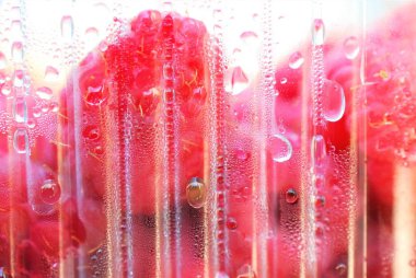 ahududu ile plastik bir kap üzerinde çiğ damla