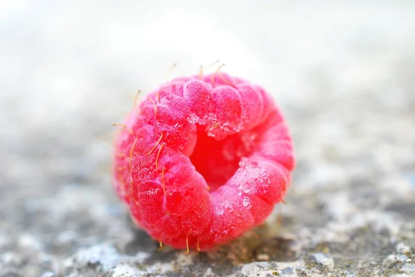 Lampone frutta close up immagine — Foto Stock