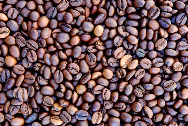 Roasted coffee beans — Stock Photo, Image