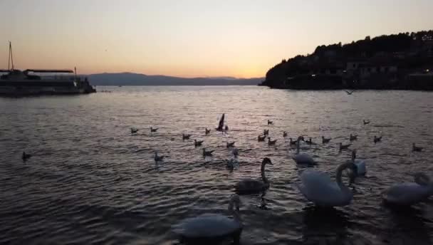 Ohrid Mazedonien Oktober 2019 Nächtliches Panorama Von Ohrid Mazedonien Stock-Filmmaterial