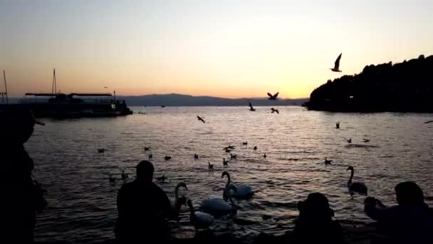 Ohrid Mazedonien Oktober 2019 Nächtliches Panorama Von Ohrid Mazedonien Lizenzfreies Stock-Filmmaterial