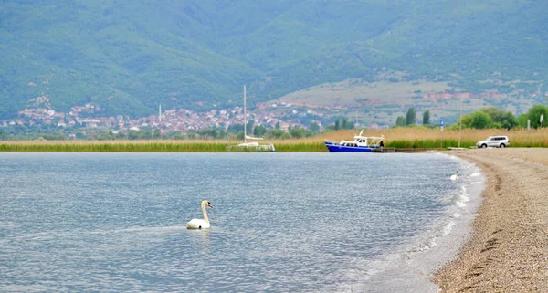 Makedonská Republika Ohridské Jezero Struga Ležící Jihozápadní Oblasti Makedonské Republiky — Stock fotografie