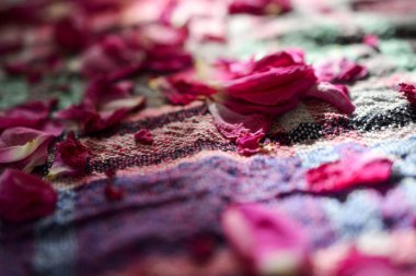 Renkli bir masa örtüsü üzerinde çay için gül yapraklarını kurutan resim