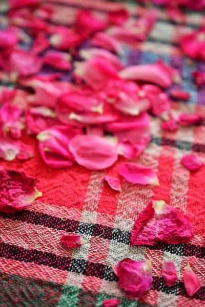 Kép Szárítás Rózsaszirmok Tea Egy Színes Asztali Ruha — Stock Fotó