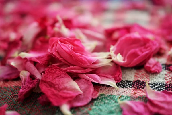 图上干燥的玫瑰花瓣 放在彩色桌布上喝茶 免版税图库图片