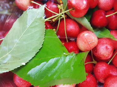 tatlı olgun kirazlar bir su görüntüsünde