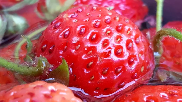 Reife Erdbeere Wasserbild — Stockfoto