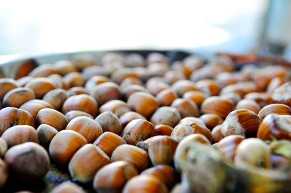 Hazelnuts Food background photo wallpaper image