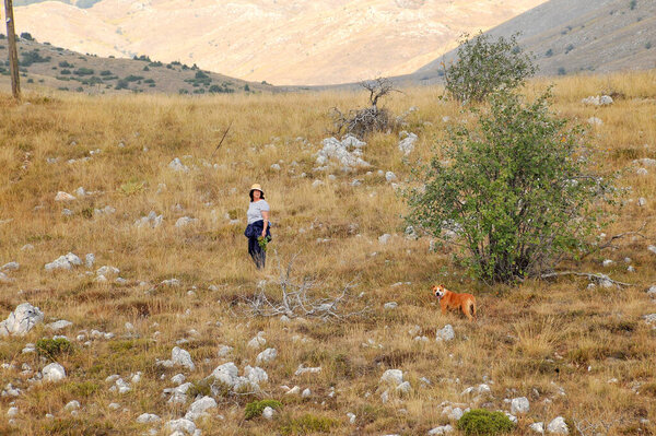 woman walks with her dog in a national park Galicica in Macedonia image