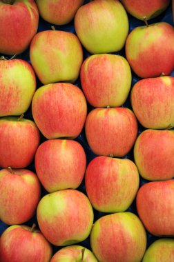 Olgun elmalar pazarda satışa sunuluyor.