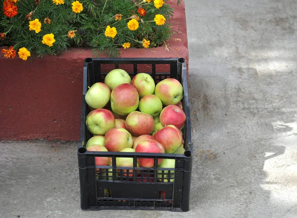Ripe Apples Display Sale Farmers Market Image — Stock Photo, Image