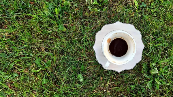 Чашка Кави Зображенні Ранкової Трави — стокове фото