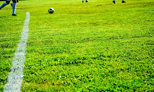 Campo Fútbol Con Hierba Verde Deporte Tema Imagen —  Fotos de Stock