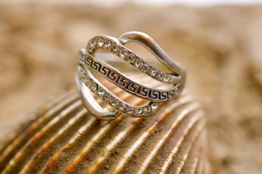 Ucuz kullanılmış deniz kabuğu bijouterie