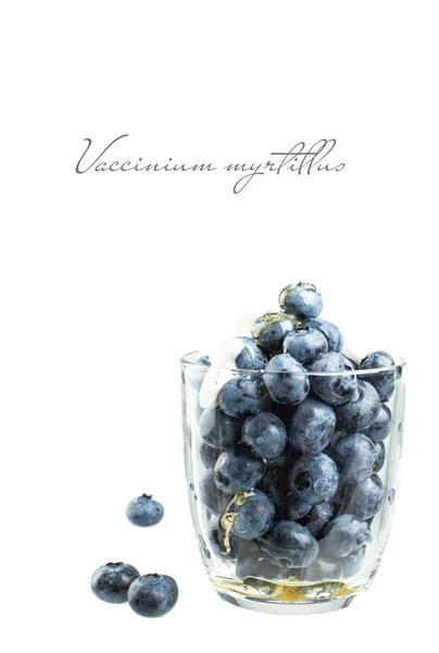 Taze böğürtlen ve bal.