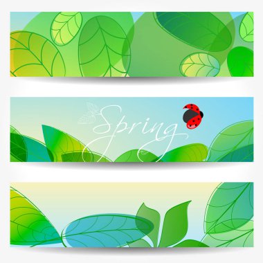 Güzel yumuşak bokeh doğa afiş ile uğur böceği ayarla