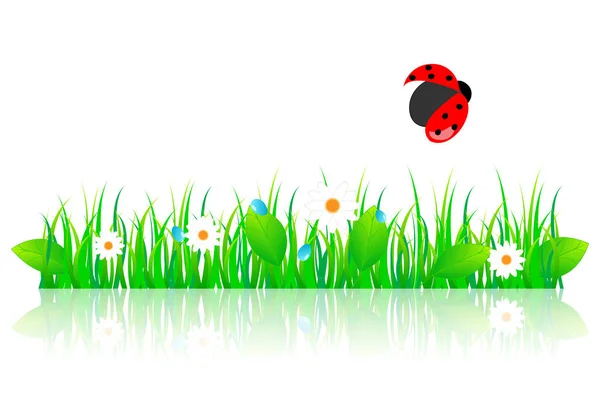 Beautiful green spring illustration — Stockvector