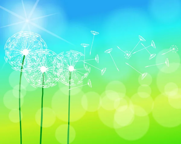 Soft focus green spring illustration with dandelions Royalty Free Stock Illustrations