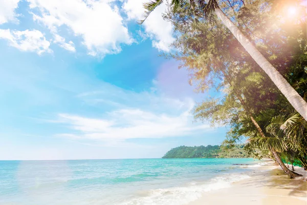 Spiaggia Tropicale Bella Spiaggia Con Palme — Foto Stock