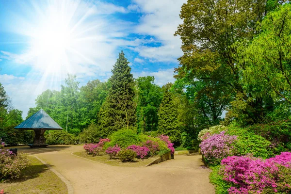 Hermoso Jardín Parque Ciudad —  Fotos de Stock