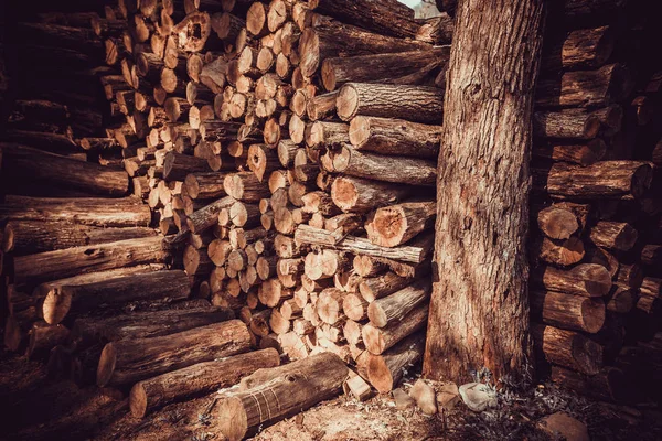 Pile Wooden Sawn Logs Background — Stock Photo, Image