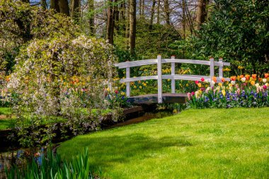 Bahar manzara. bir çayır çiçekler ile manzara