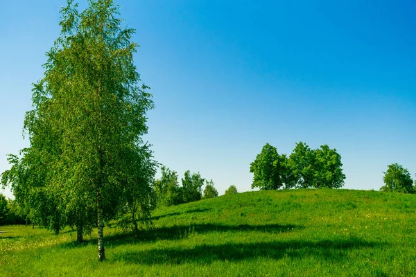 Grünes Frühlingsfeld Rasenplatz — Stockfoto