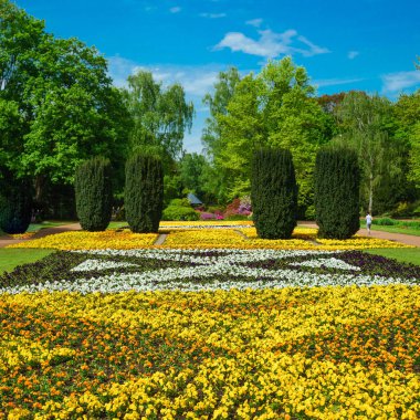Manzara resmi, ön bahçesinde gayet güzel, Bahçe Dizayn