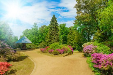 Baharda güzel bir bahçe