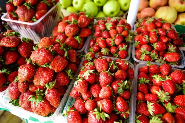 Erdbeere Frische Beeren Hintergrund Frucht — Stockfoto