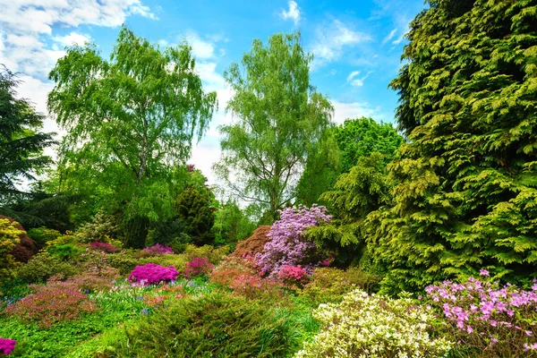 Hermoso Parque Verde Ciudad Jardín —  Fotos de Stock