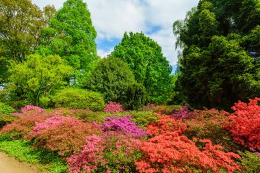 Güzel bahçe. Şehir Parkı