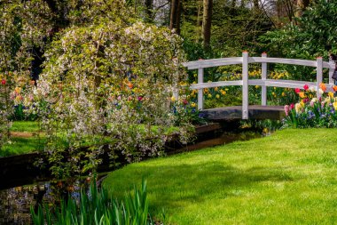 Güzel bahçe. Park bahar. Bahar manzara