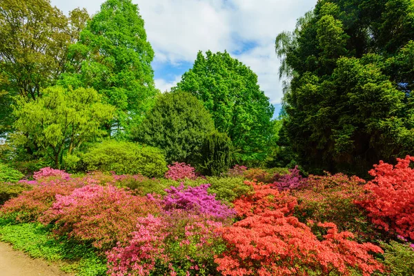 Güzel bahçe. Şehir Parkı