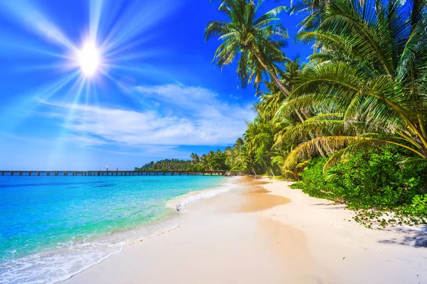 Tropisch Strand Zee Kokosnoot Palm Landschap Van Paradijs Tropisch Eiland — Stockfoto