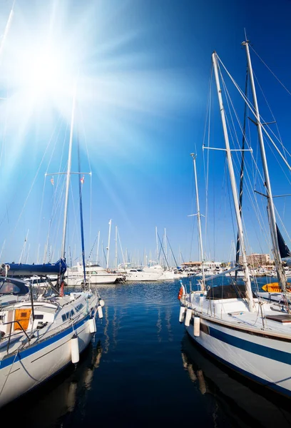 Yachts Boats Marina — Stock Photo, Image