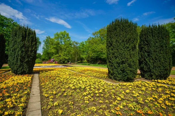 Şehir Parkı. Güzel bir park Panoraması