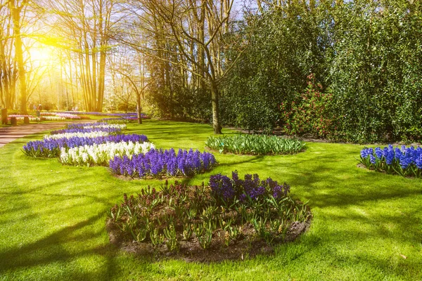 Prachtige Tuin Lentetuin Groen Park — Stockfoto