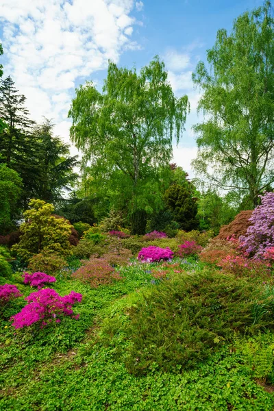 Hermoso Paisaje Primavera Naturaleza —  Fotos de Stock