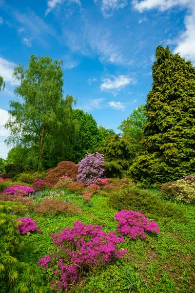 Belleza Naturaleza Hermoso Jardín Colorido —  Fotos de Stock