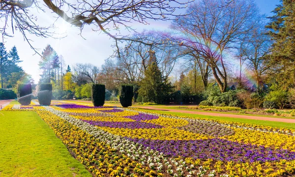 Bahar Manzara Güzel Bahçe — Stok fotoğraf