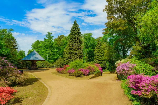 Güzel bahçe. Şehir Parkı