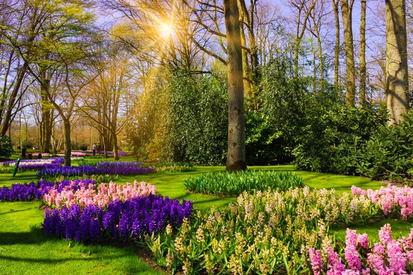 Güzel bahçe. Park bahar. Bahar manzara.