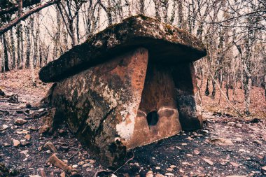 Dolmen ormanın içinde. Gizemli dolmen