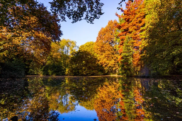 Herfst Prachtig Bos Herfst Landschap — Stockfoto