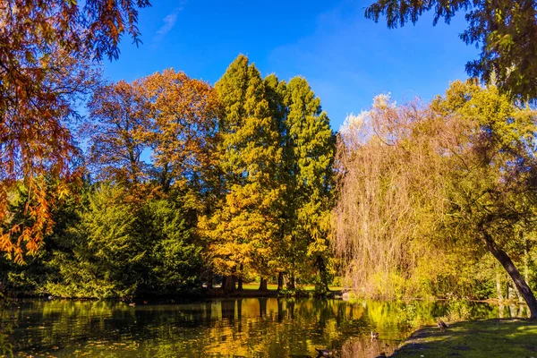 Muhteşem manzara. Renkli sonbahar sahne