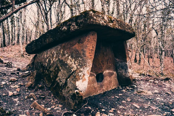 Hunebed Het Forest Mysterieuze Hunebed — Stockfoto